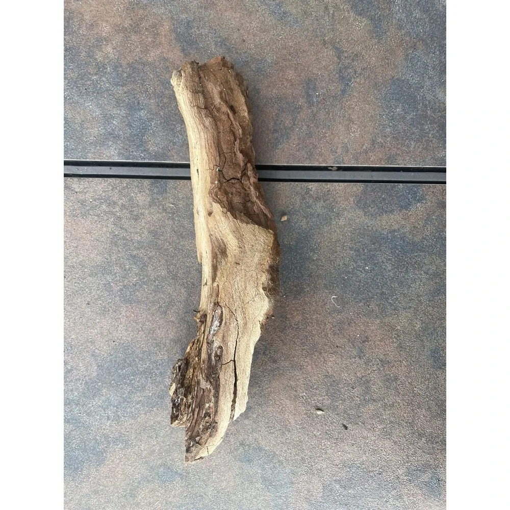Natural Driftwood for Plants Terrarium Taxidermy Art Projects
